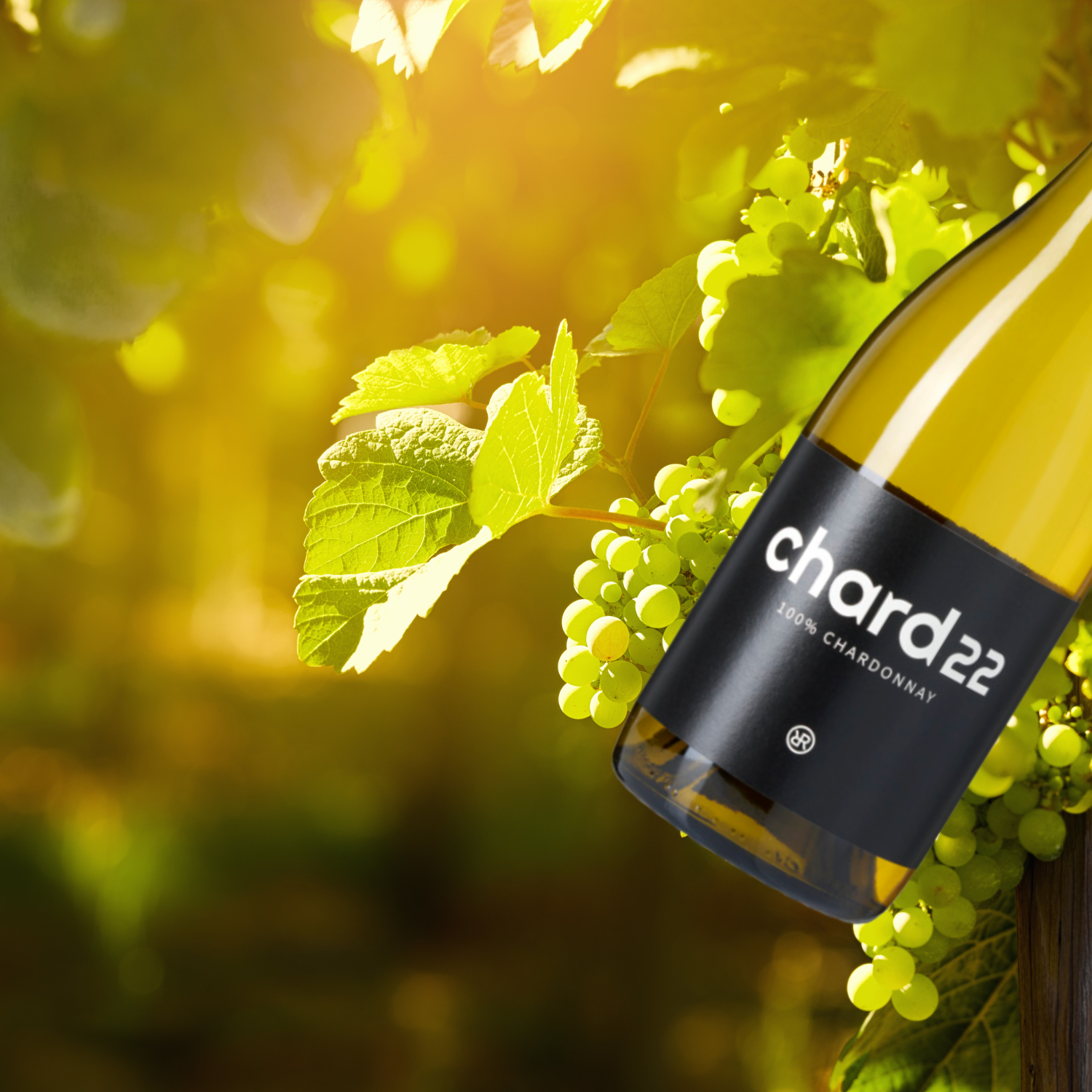 Rebel Ridge Chardonnay