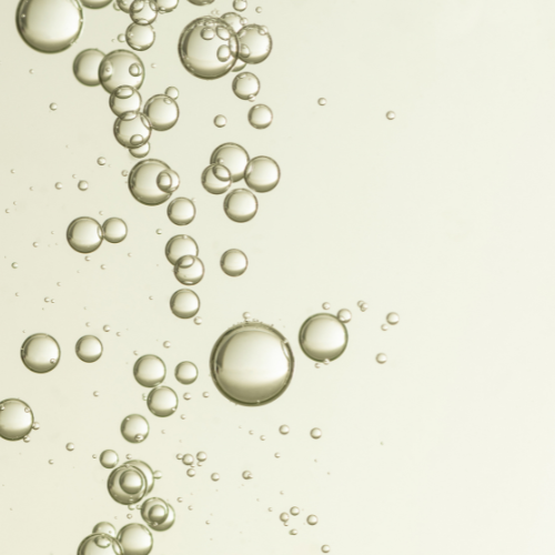 Champagne Gruet  Ein Fest für die Sinne