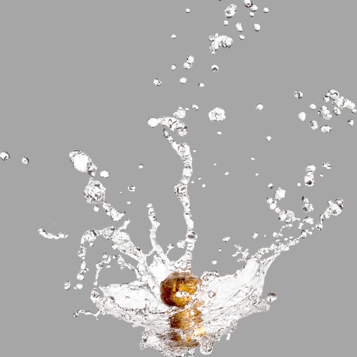 Krug Grande Cuvée 167ème Édition