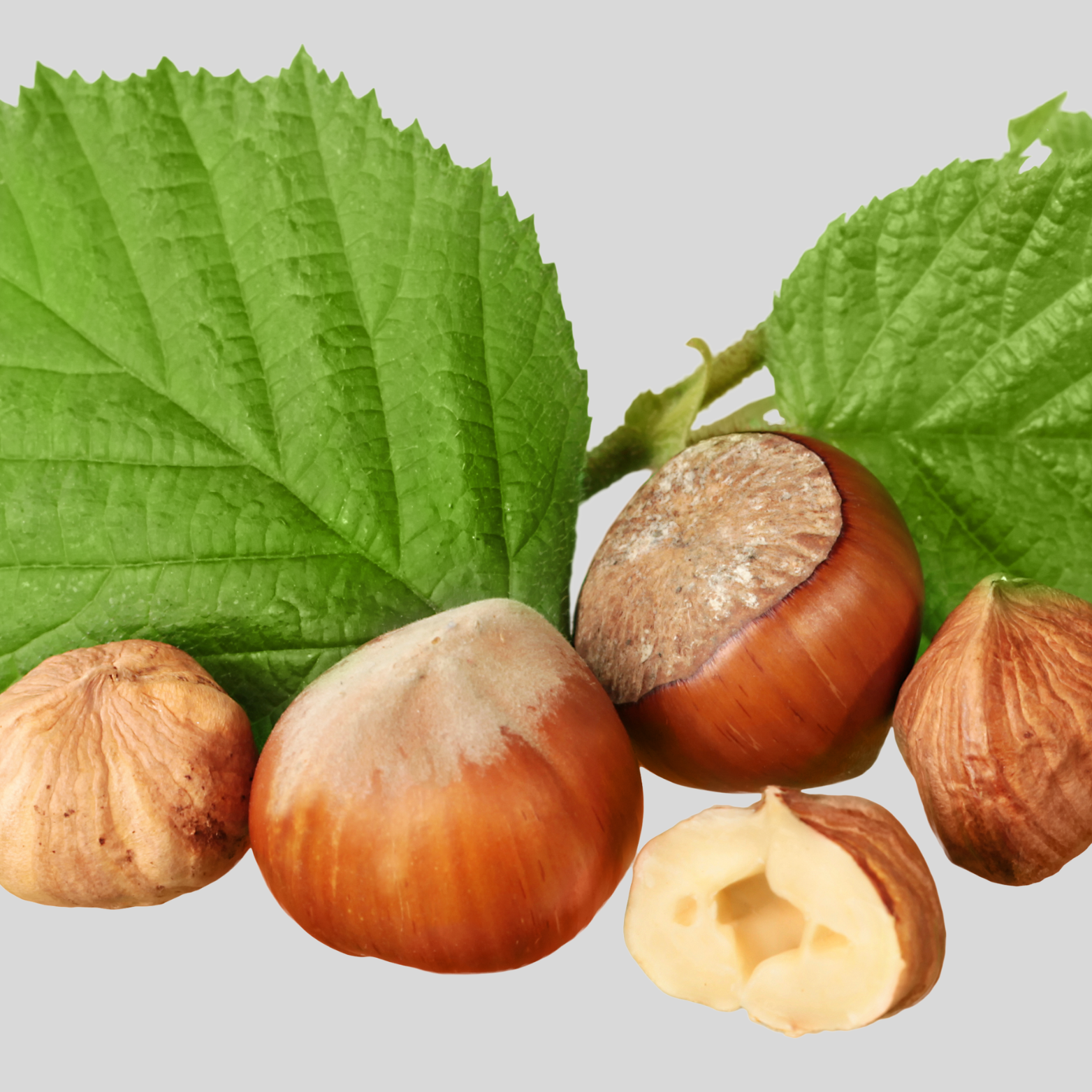 Guénard Haselnussöl 500 ml